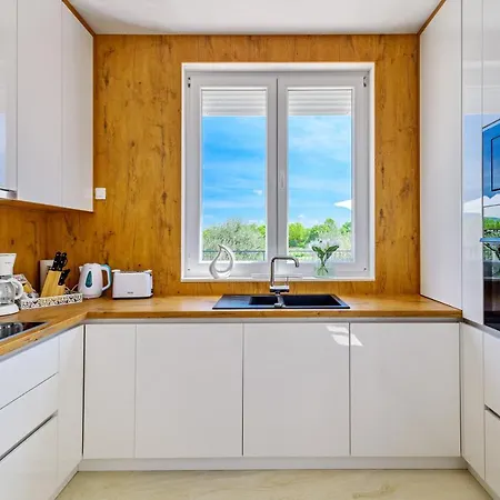 Villa Luxury Stone With Pool - Brisevo